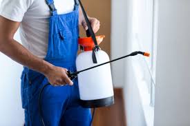 Best Pest Exclusion Services  in Texanna, OK